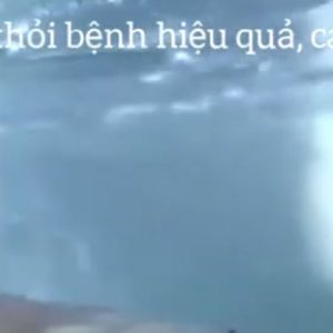 Chữa viêm đục mắt ở cá hiệu quả, tiết kiệm, cá khỏe