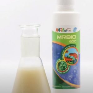 Vi sinh MRBIO GỐC giúp cá sung khỏe tự nhiên